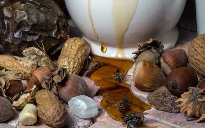 蜂蜜放了10年還能吃嗎？取決于蜂蜜是否變質，變質的蜂蜜不能吃！
