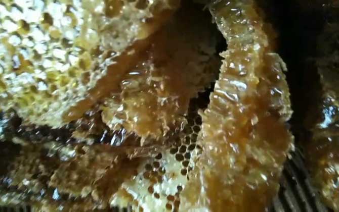 純土蜂蜜一斤多少錢？基本都在100元以上，低于60元想都不用想！