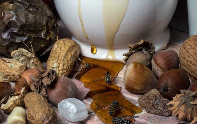 蜂蜜變黑了還能吃嗎？關鍵看變黑的原因，若是變質了則不能再吃！