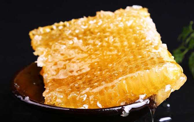 蜂巢蜜和土蜂蜜哪個好？并沒有定論，實際上土蜂也能釀制蜂巢蜜！